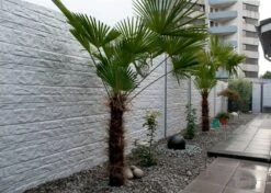 Clôture Béton Fencestone 200x231cm