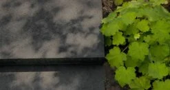 Carrelage De Terrasse Old Dutch 60x60x5cm (m2) -Pas Cher Intergardshop Magasin 1814