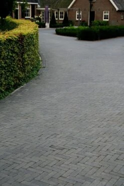 Pave En Beton Noir Tambourine 10x10x6cm (m2) -Pas Cher Intergardshop Magasin 204100 tambour waalformaat antraciet 14