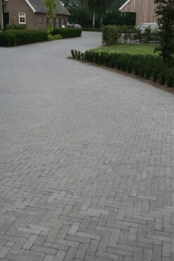 Pave En Beton Noir Tambourine 10x10x6cm (m2) -Pas Cher Intergardshop Magasin 204100 tambour waalformaat antraciet 15