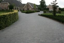 Pavé Béton Wallon Noir 20x5x6cm -Pas Cher Intergardshop Magasin 204100 tambour waalformaat antraciet 16 1