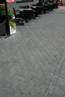 Pavé Béton Wallon Noir 20x5x6cm -Pas Cher Intergardshop Magasin 204100 tambour waalformaat antraciet 2 1