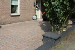 Pavé Béton Wallon Bariole Vieille 20x5x6cm -Pas Cher Intergardshop Magasin 204116 tambour oud bont 10x10x6 3