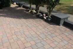 Pavé Béton Wallon Bariole Vieille 20x5x6cm -Pas Cher Intergardshop Magasin 204116 tambour oud bont 10x10x6 6