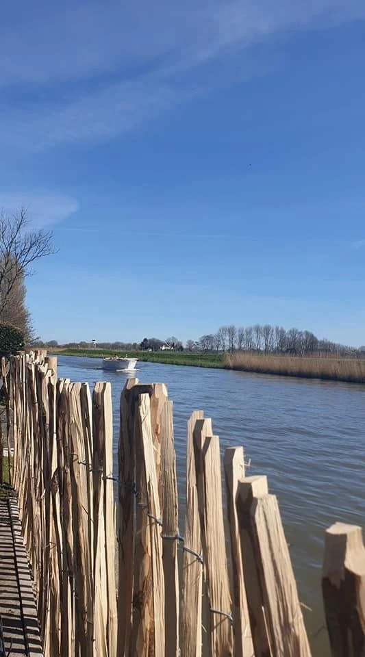 Ganivelle Clôture Chataignier 0,90x5m (7/8cm) 6 Ganivelle Clôture Chataignier 0,90x5m (7/8cm) – Image 6