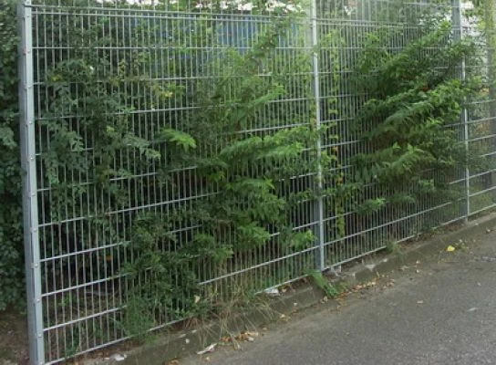 Panneau De Grillage Rigide Double Fils 123x251cm Galvanisé A Chaud 4 Panneau De Grillage Rigide Double Fils 123x251cm Galvanisé A Chaud – Image 4