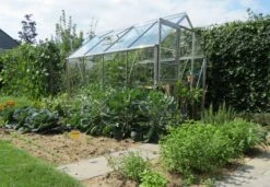 Serre Pour Jardin 13 Serre Pour Jardin -Pas Cher Intergardshop Magasin 8718215760023 5 1