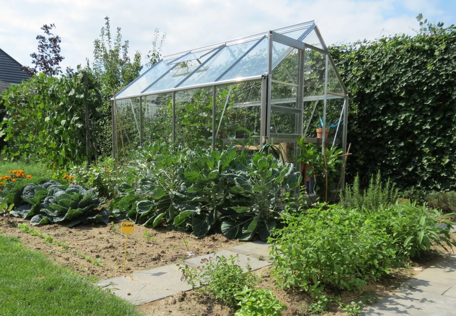 Serre Pour Jardin 5 Serre Pour Jardin – Image 5