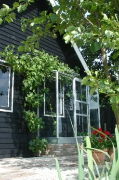 Serre Murale De Jardin 132x69cm -Pas Cher Intergardshop Magasin 8718215761006 3