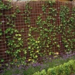 Treillis Soudé Galvanisé A Chaud 180x180cm 5/150mm