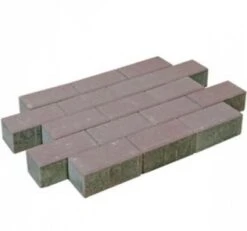 Pavé Béton Bruyere 21x10,5x8cm (m2)