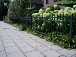 Grille Fer Forgé De Luxe 190x60cm 17 Grille Fer Forgé De Luxe 190x60cm -Pas Cher Intergardshop Magasin dsc03769 custom 2