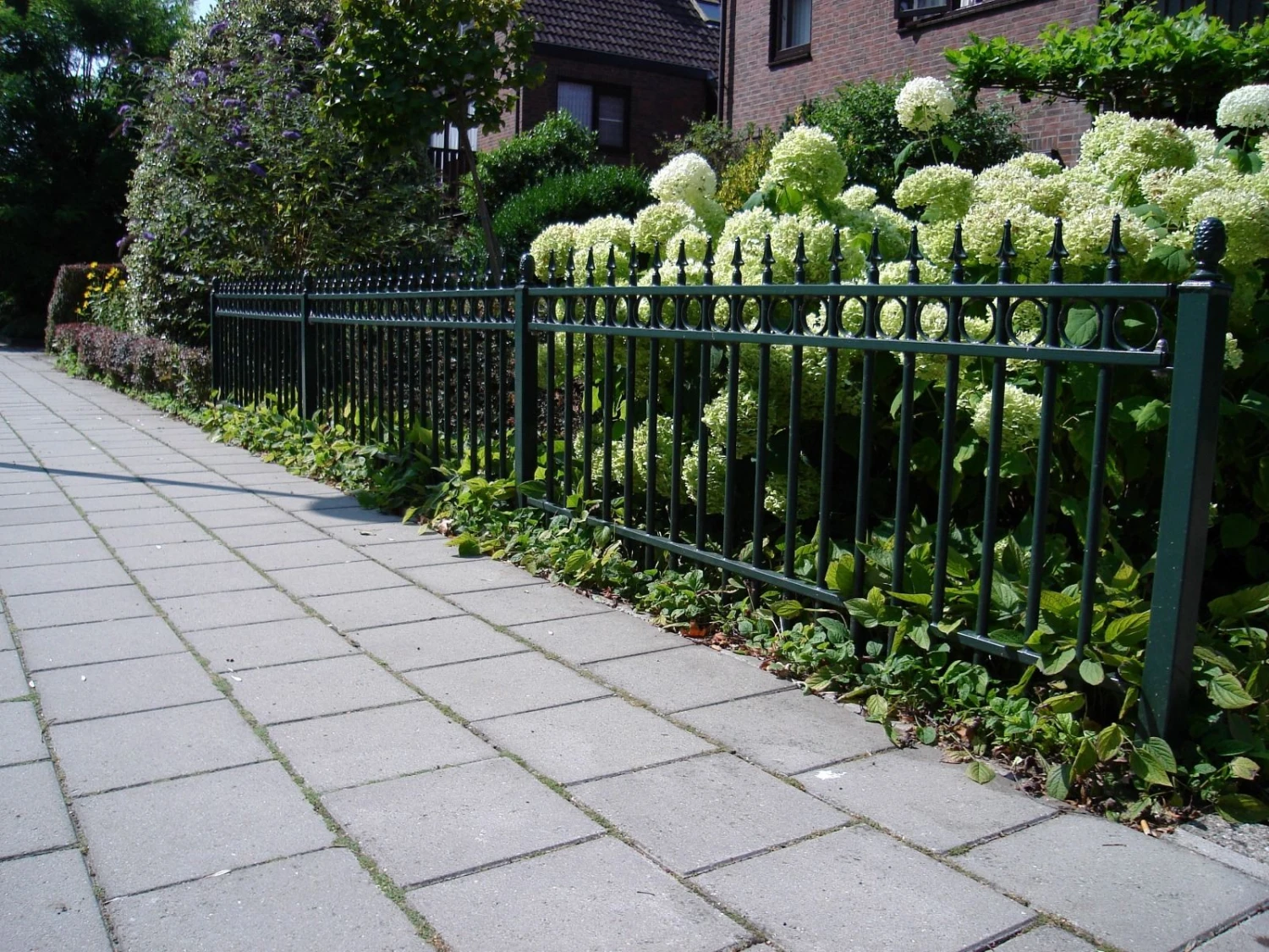 Grille Fer Forgé De Luxe 190x60cm 9 Grille Fer Forgé De Luxe 190x60cm – Image 9