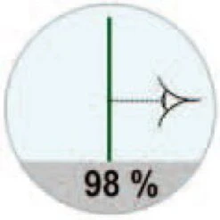 Haie Artificielle Cloture 2x5m -Pas Cher Intergardshop Magasin fragment 2 4 1