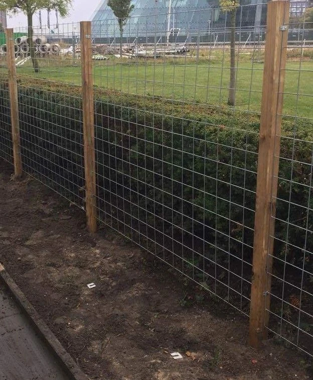 Treillis Grillage Clôture Metalique 180x180cm 4/50mm 7 Treillis Grillage Clôture Metalique 180x180cm 4/50mm – Image 7