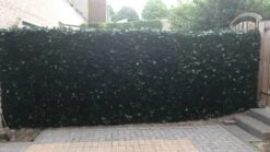 Cloture En Haie Artificielle Hedera 1x3m -Pas Cher Intergardshop Magasin hedera5