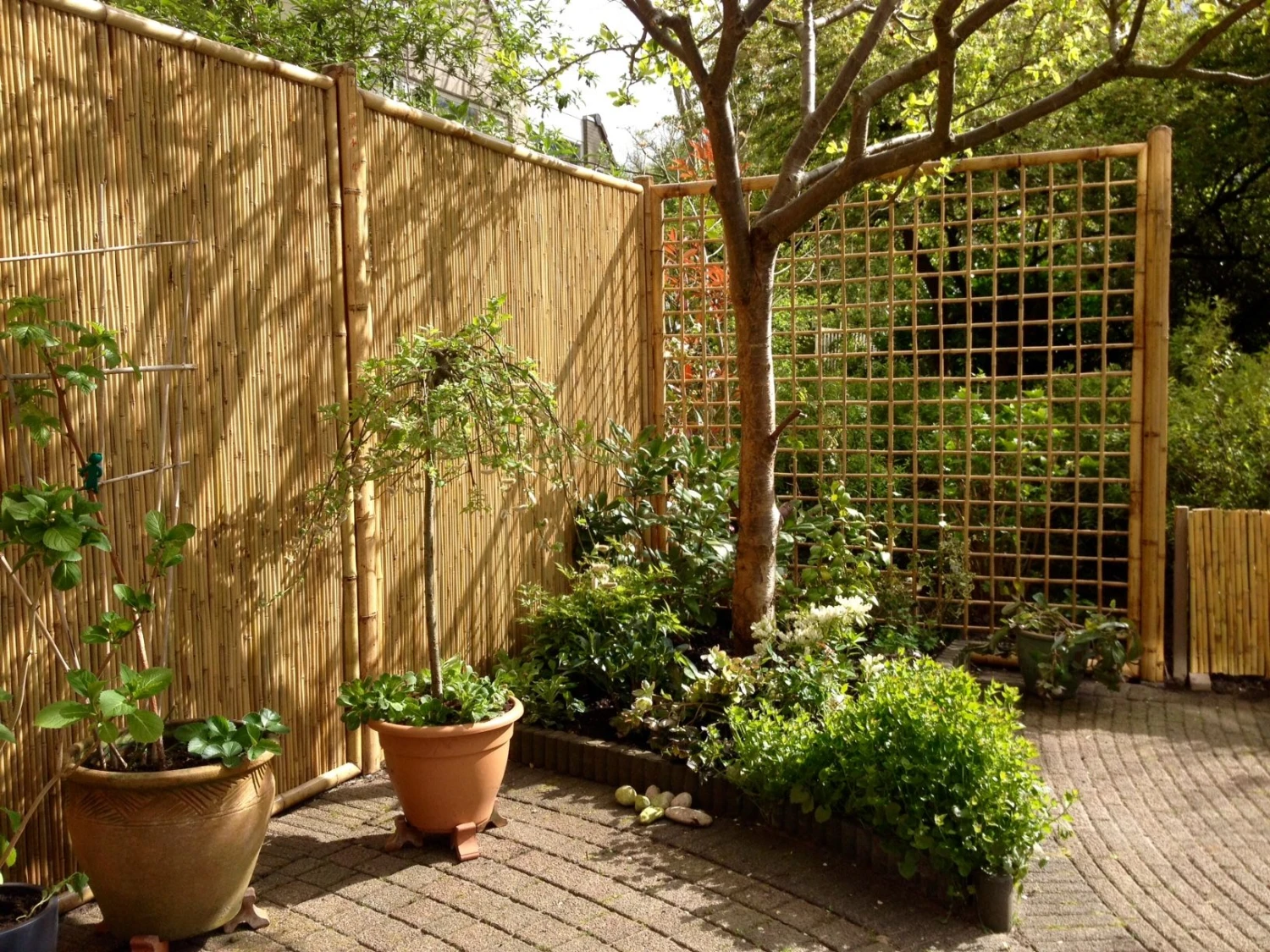 Cloture Bambou Tuepan 180x45cm 3 Cloture Bambou Tuepan 180x45cm – Image 3