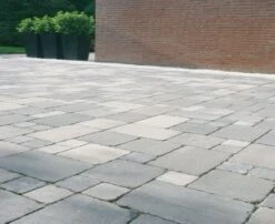 Pave En Beton Smook 10x10x6cm (m2) 5 Pave En Beton Smook 10x10x6cm (m2) -Pas Cher Intergardshop Magasin koppelstones wildverband smook 1 6