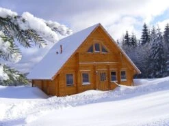 Cabane Maison En Bois 8.8x7.8m (94mm) -Pas Cher Intergardshop Magasin noorwegen 3