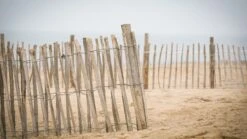 Ganivelle Clôture Chataignier 0,90x5m (7/8cm) 11 Ganivelle Clôture Chataignier 0,90x5m (7/8cm) -Pas Cher Intergardshop Magasin schapenhek 2