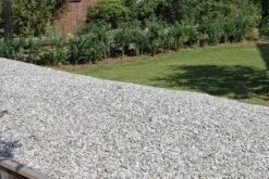 Coquilles 650kgs 7 Coquilles 650kgs -Pas Cher Intergardshop Magasin schelpen 1