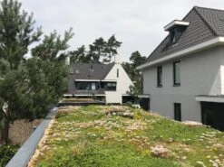 Toit Vert Sedum 54x54cm -Pas Cher Intergardshop Magasin sempergreen groendak 6 1