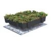 Toile De Protection Pour Sedum 13m2