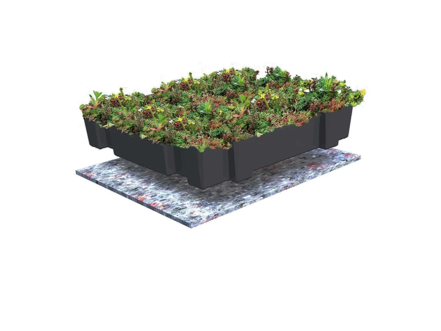 Toile De Protection Pour Sedum 13m2 1 Toile De Protection Pour Sedum 13m2