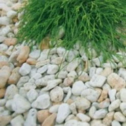 Gravillon Gravier Jaune 1000kgs -Pas Cher Intergardshop Magasin taunuskwarts 20geel1 13