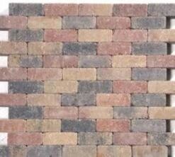 Pavé Béton Wallon Bariole 20x5x6cm